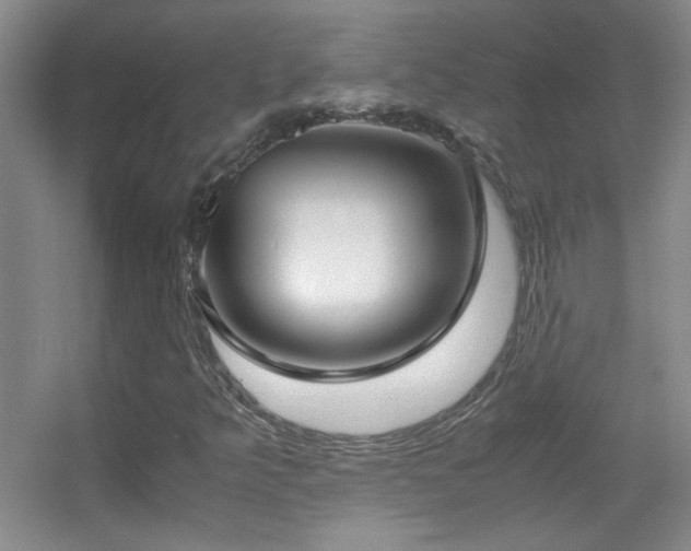 X0000055511349200508121006