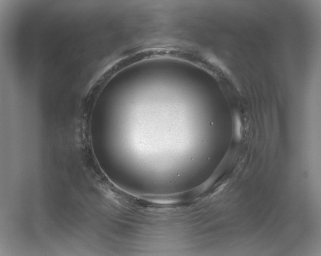 X0000055511352200508121006