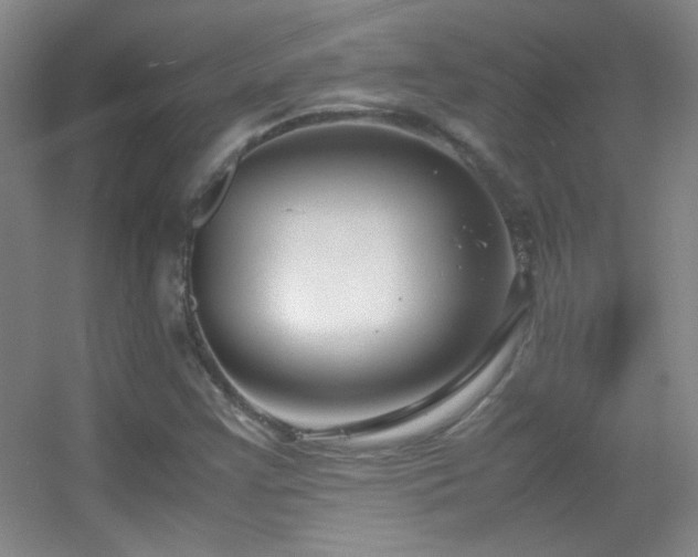 X0000055511355200508121006