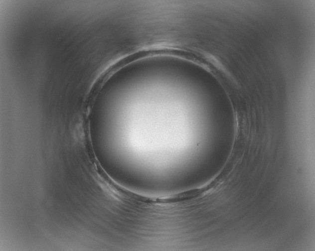 X0000055511356200508121006