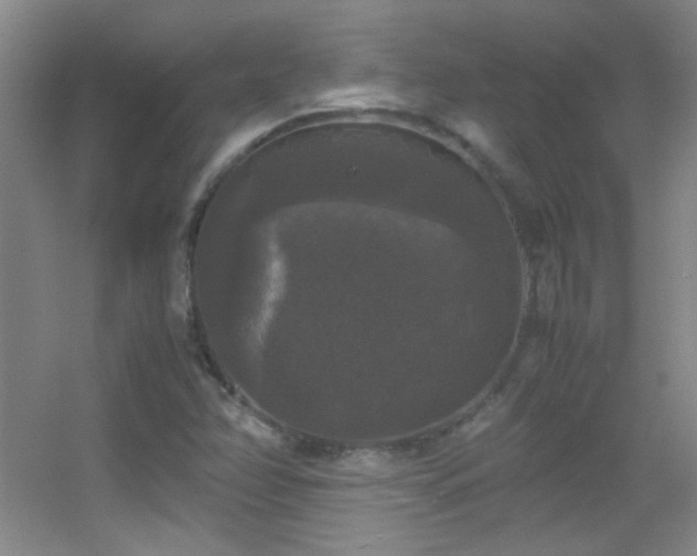 X0000055511358200508121006
