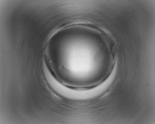 X0000055511369200508121006