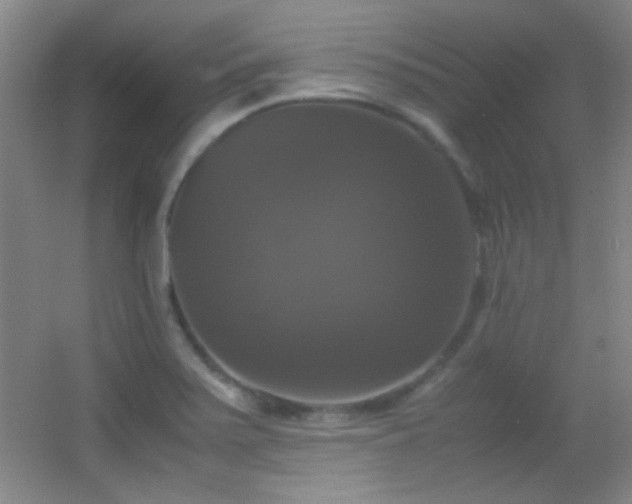 X0000055511371200508121006