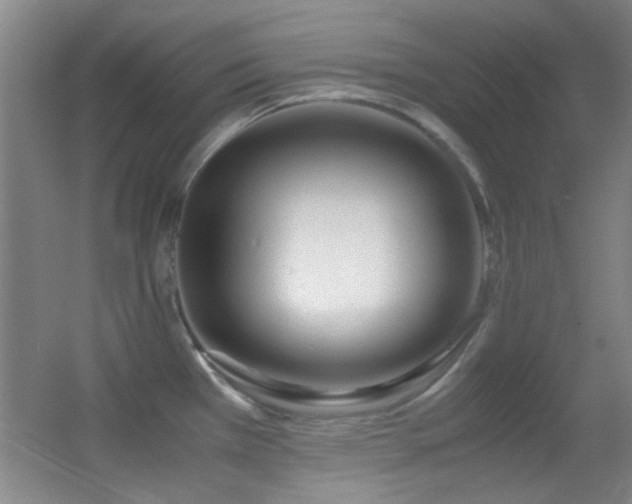 X0000055511385200508121006