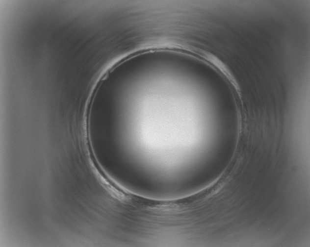 X0000055511388200508121005