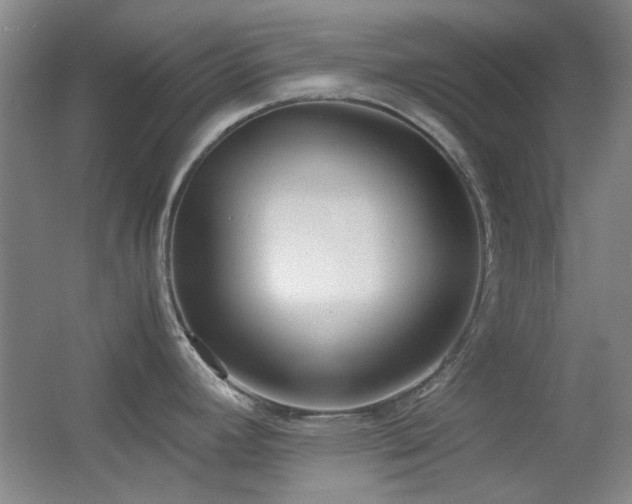 X0000055511392200508121005
