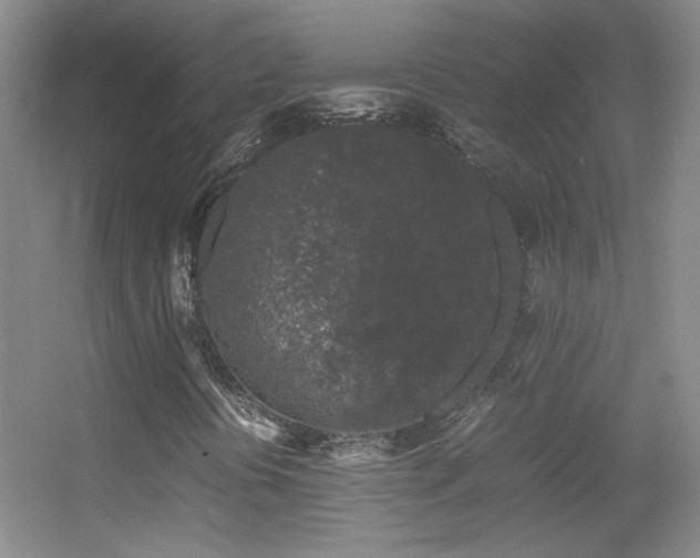X0000055511394200508121005