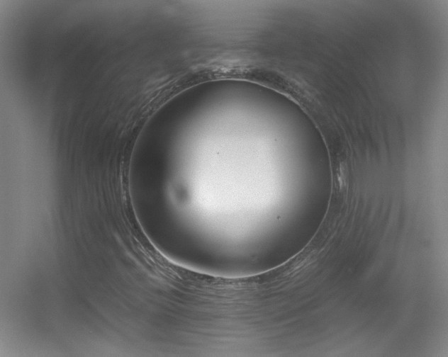 X0000055511396200508121005