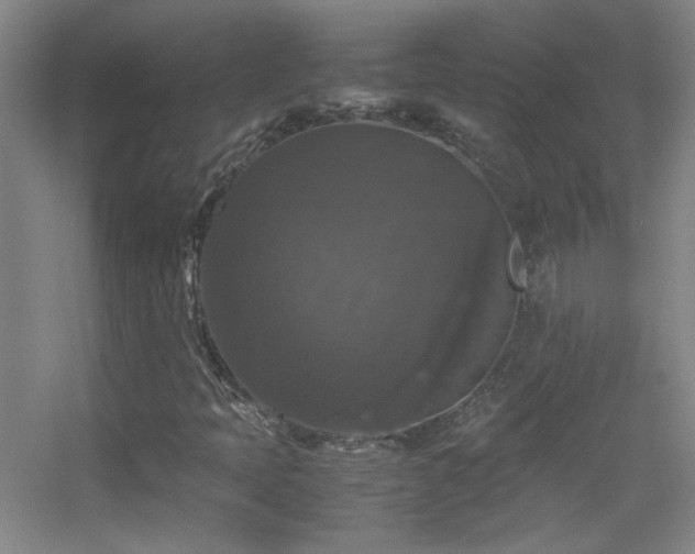 X0000055511397200508121005