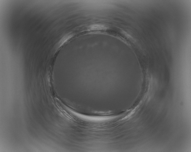 X0000055511401200508121005