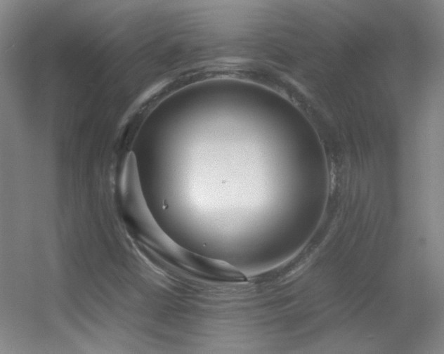 X0000055511402200508121005