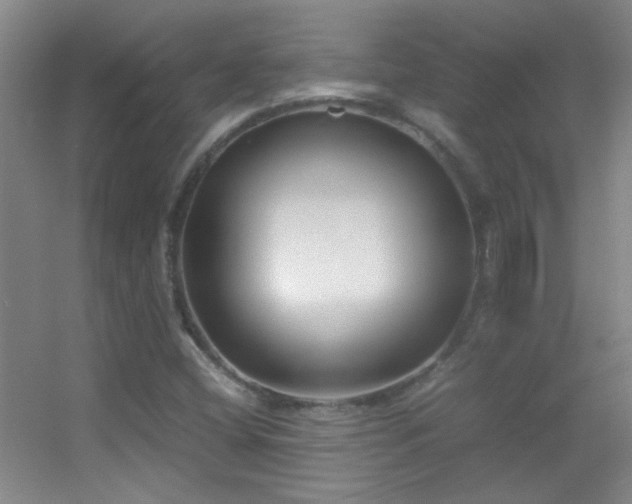 X0000055511404200508121005