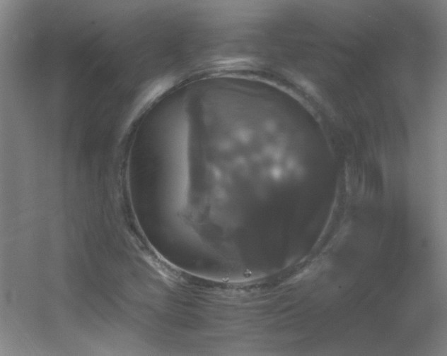 X0000055511405200508121005