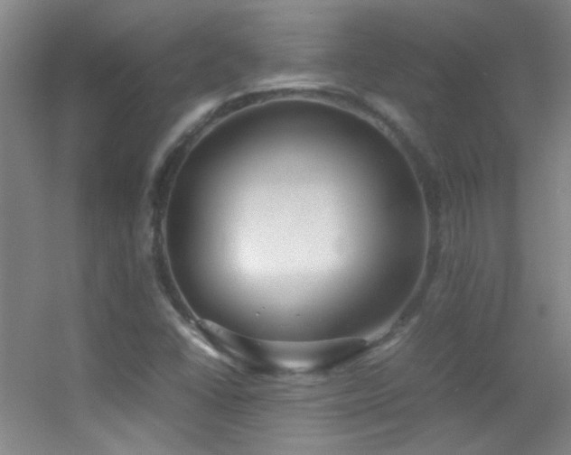 X0000055511406200508121005