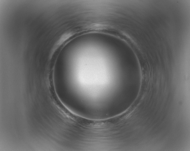 X0000055511410200508121005
