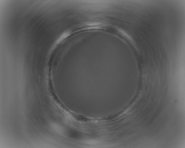 X0000055511411200508121005