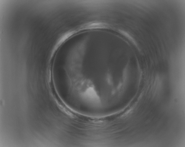 X0000055511413200508121005