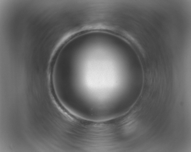 X0000055511416200508121005
