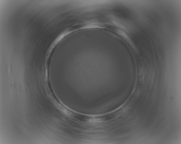 X0000055511419200508121005