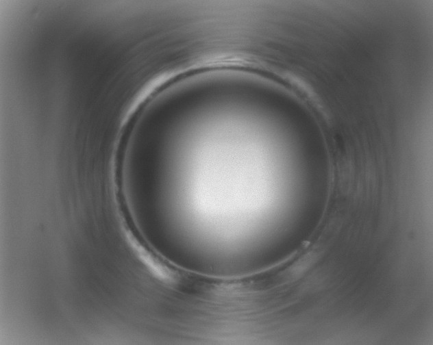 X0000055511422200508121005