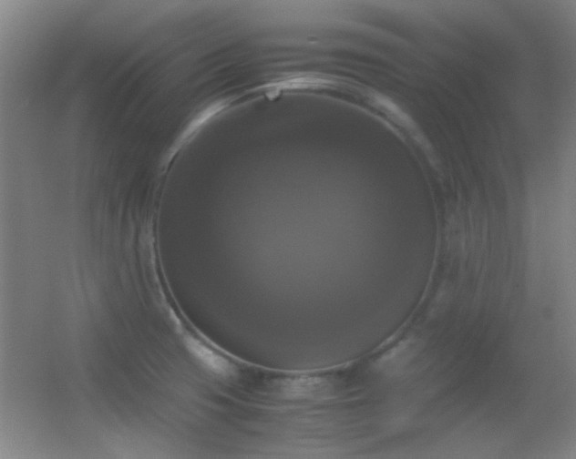 X0000055511425200508121005