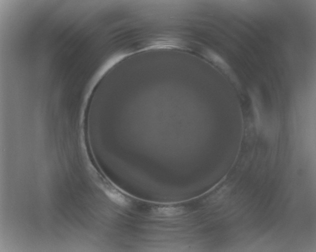 X0000055511427200508121005