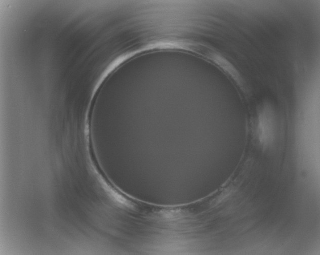 X0000055511428200508121005