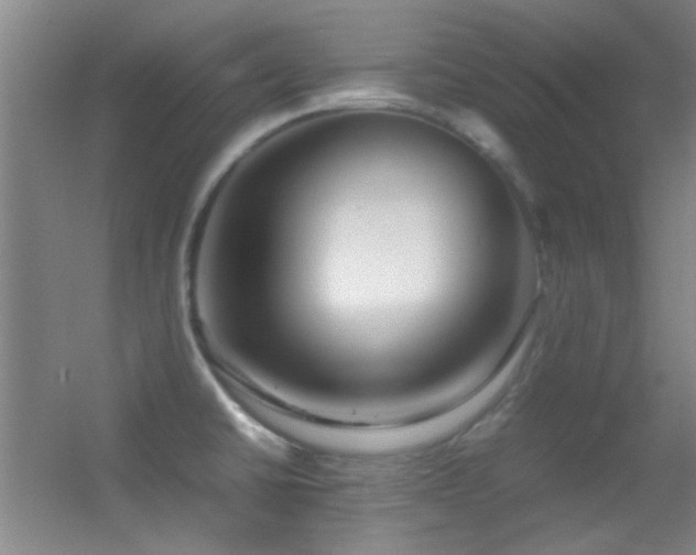 X0000055511430200508121005