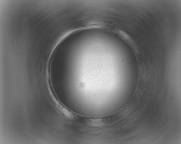 X0000055511431200508121005