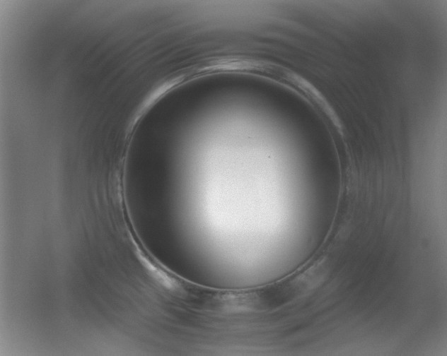 X0000055511433200508121005