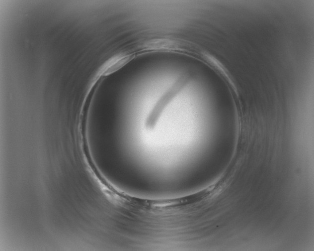 X0000055511434200508121005
