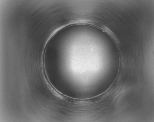 X0000055511436200508121005