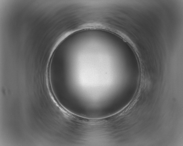 X0000055511440200508121005