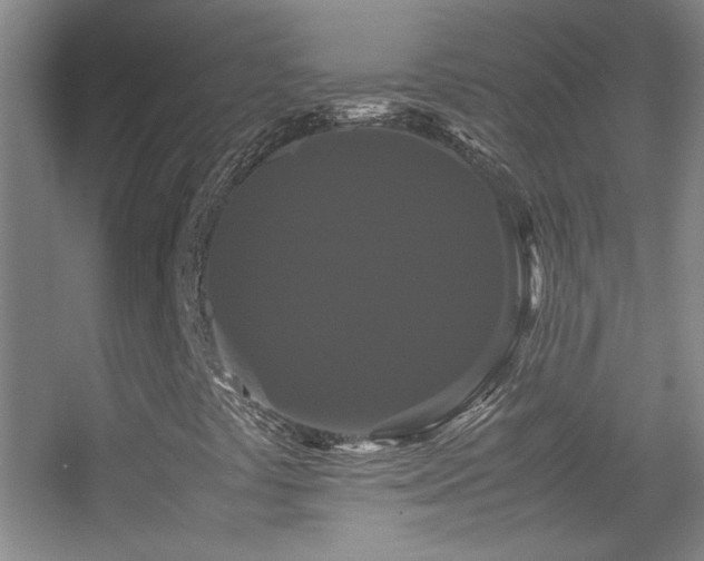 X0000055511441200508121005