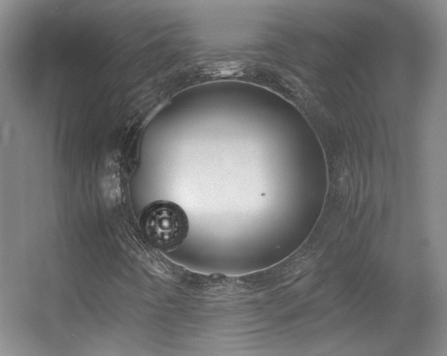 X0000055511442200508121005
