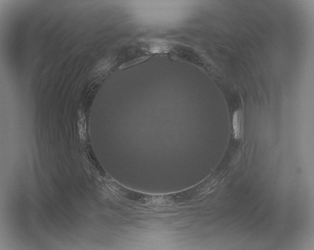 X0000055511443200508121005
