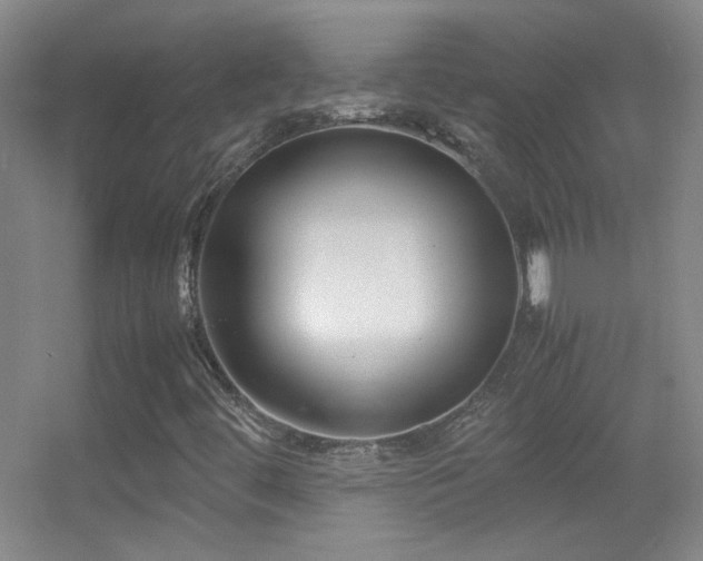 X0000055511444200508121005