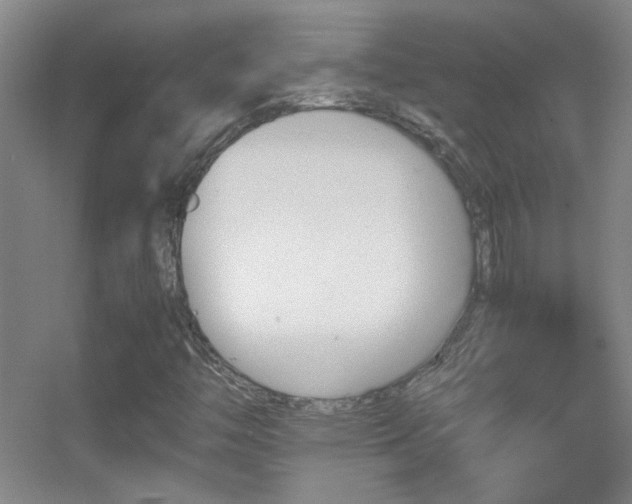 X0000055511446200508121004