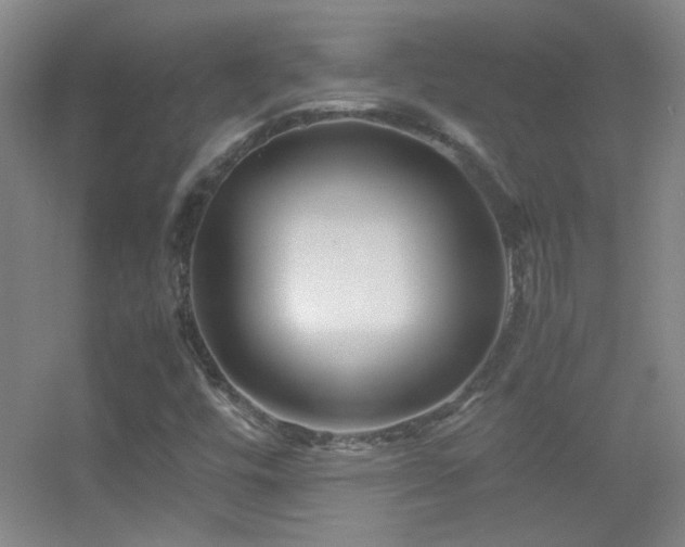 X0000055511448200508121004