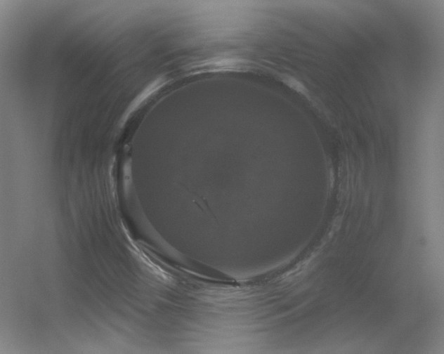 X0000055511450200508121004