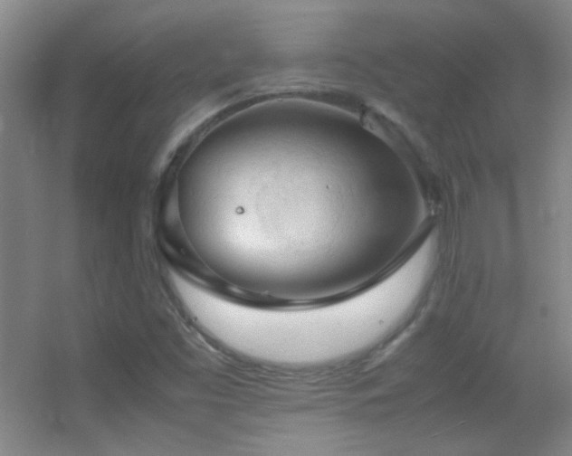 X0000055511453200508121004