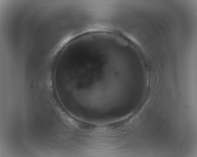 X0000055511455200508121004