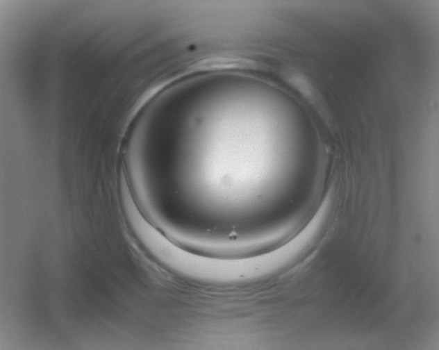 X0000055511465200508121004