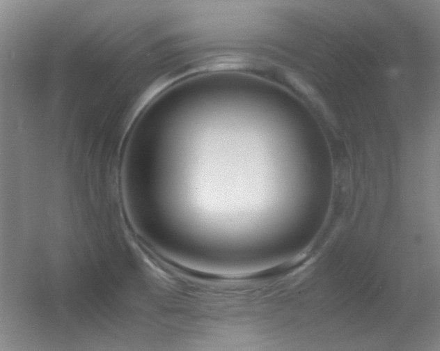 X0000055511473200508121004