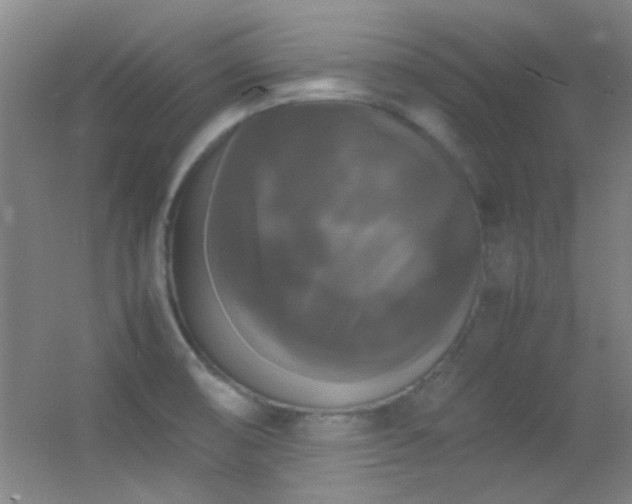 X0000055511474200508121004