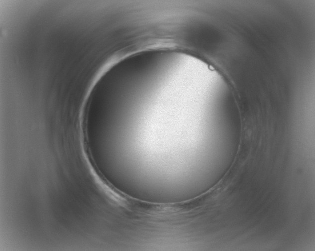 X0000055511475200508121004