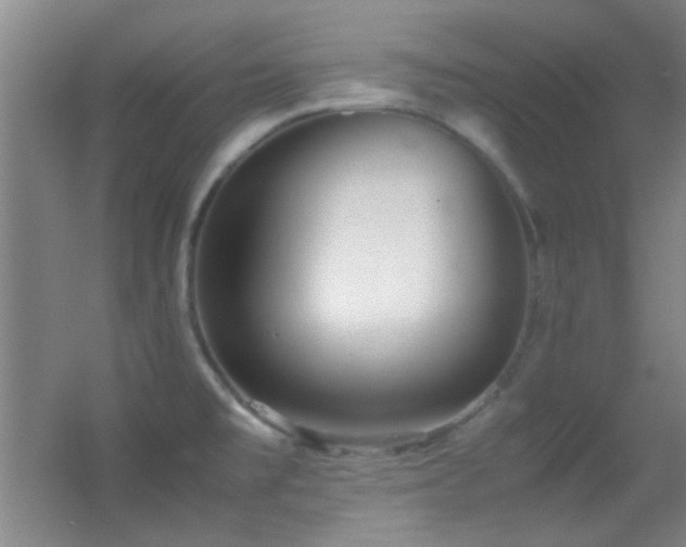 X0000055511477200508121004