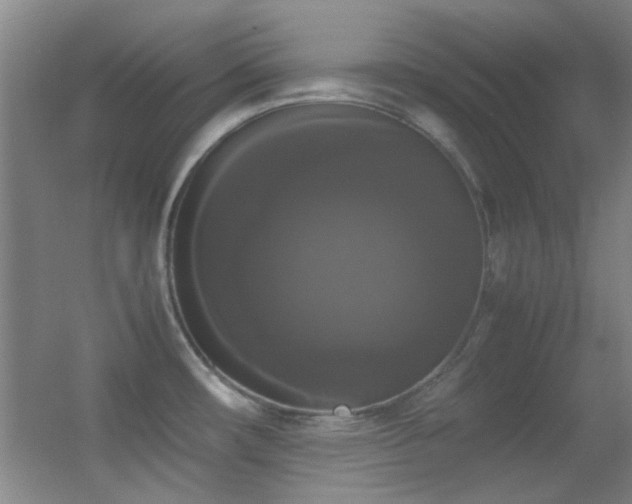 X0000055511482200508121004
