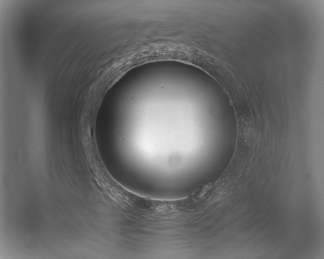 X0000055511489200508121003
