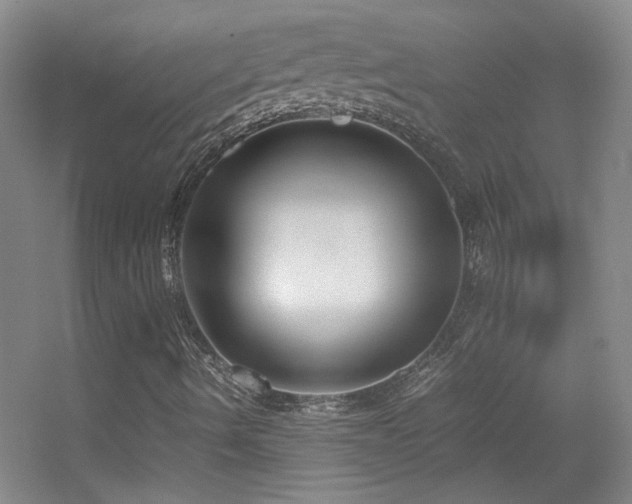 X0000055511490200508121003